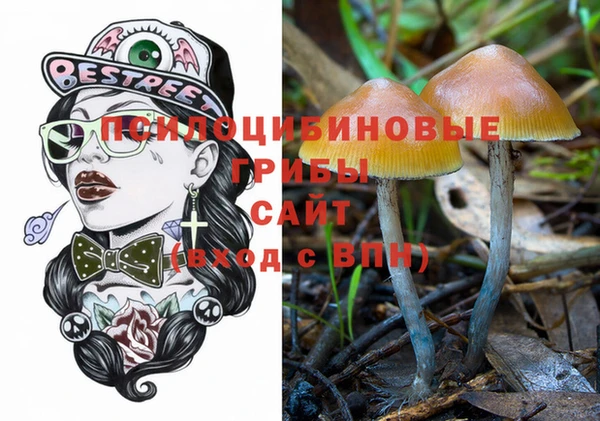 экстази Белокуриха